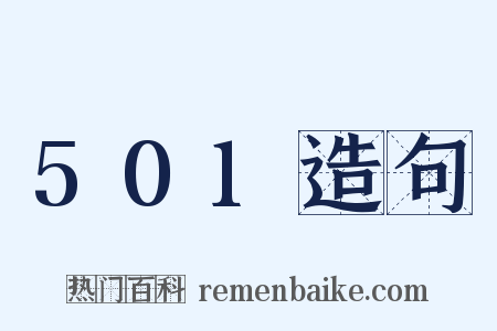 501造句是什么意思的图片